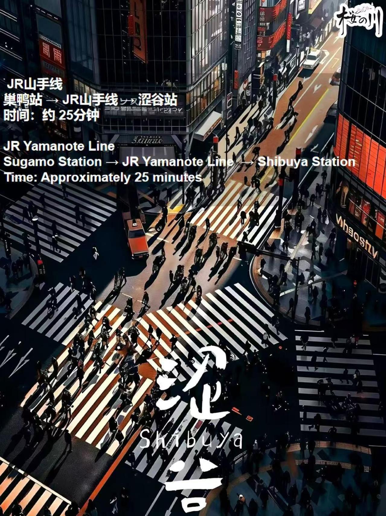 דירות טוקיו 桜の川3 Sugamo Diamond Mansion 105 Direct To Ikebukuro Yamanote Line 5Mins מראה חיצוני תמונה
